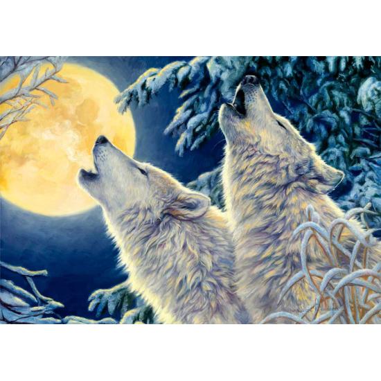 Puzzle Bluebird Moonlight 1000 pièces