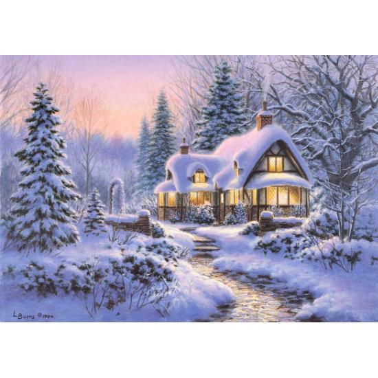Cape d'hiver Bluebird sur 500 puzzle de cabane Willbie