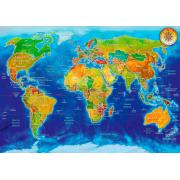 Bluebird Puzzle Carte géopolitique du monde 1000 pièces