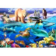 Puzzle 1000 pièces Bluebird Oceans of Life