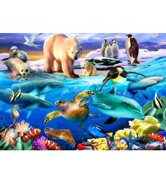 Puzzle 1000 pièces Bluebird Oceans of Life