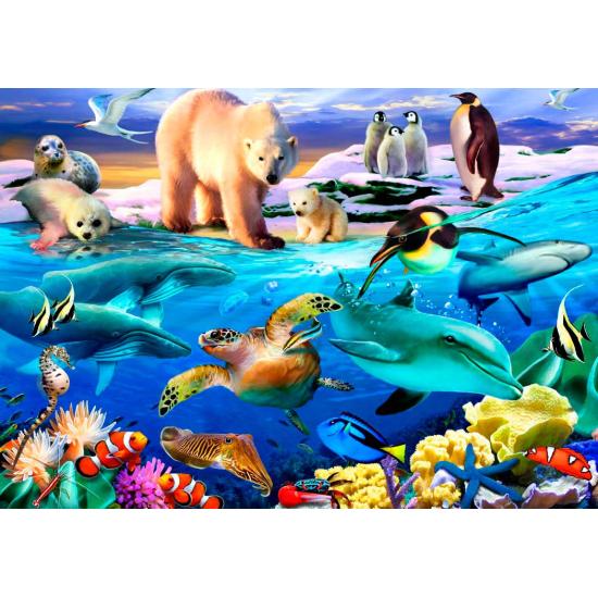 Puzzle 1000 pièces Bluebird Oceans of Life