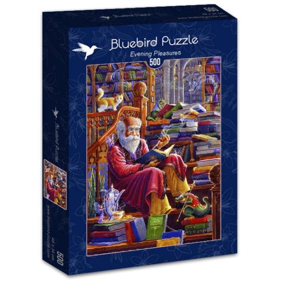 Puzzle Plaisirs nocturnes Bluebird 500 pièces