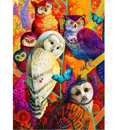 Puzzle Bluebird Rencontre des esprits 1000 pièces