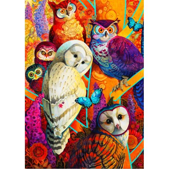 Puzzle Bluebird Rencontre des esprits 1000 pièces