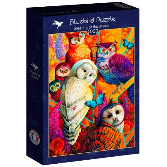 Puzzle Bluebird Rencontre des esprits 1000 pièces