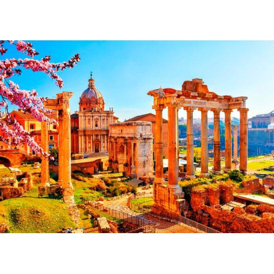 Bluebird Puzzle Ruines romaines au printemps 1000 pièces