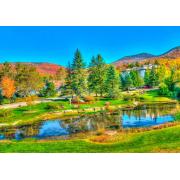 Bluebird Stowe, Vermont, États-Unis Puzzle 1000 pièces