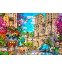 Puzzle Bluebird Notre-Dame L'Après-Midi 1000 pièces