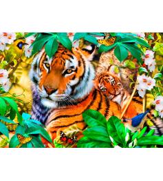 Puzzle Bluebird Tigres dans l'Ombre MINI 1500 pièces