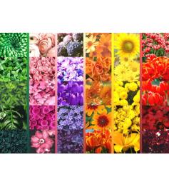 Puzzle Brain Tree Couleurs Florales de 1000 Pièces