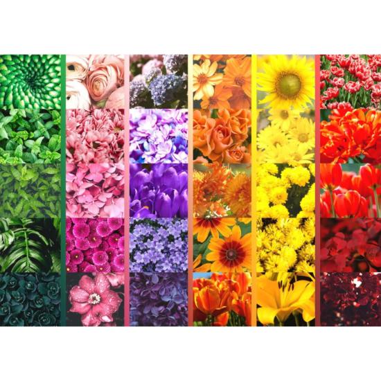 Puzzle Brain Tree Couleurs Florales de 1000 Pièces Puzzle Brain Tree Couleurs Florales de 1000 Pièces