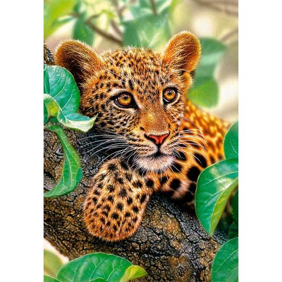 Castorland Puzzle à étreindre les arbres 1500 pièces