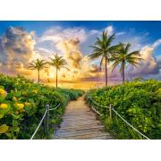 Castorland Puzzle Lever de soleil coloré à Miami 3000 pièces