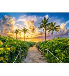 Castorland Puzzle Lever de soleil coloré à Miami 3000 pièces