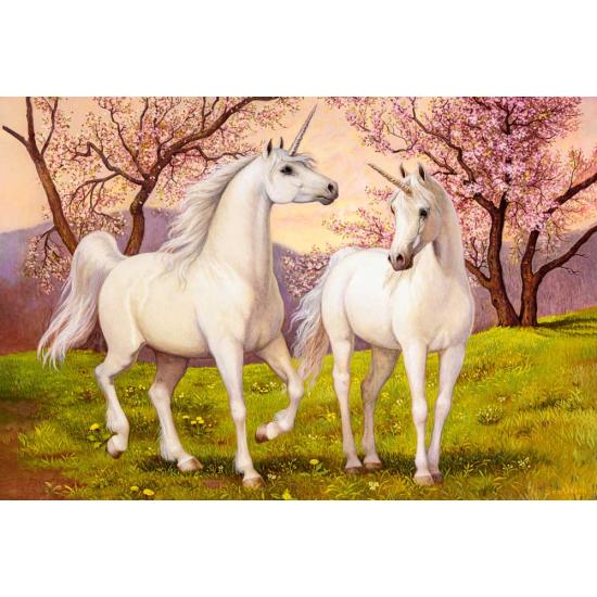 Puzzle Castorland Amour De Licorne 1000 pièce