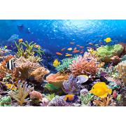 Castorland Coral Reef Puzzle 1000 pièces