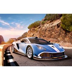 Puzzle Castorland Arrinera Hussarya GT 300 pièces