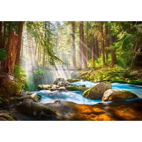 Castorland Forêt de lumière Puzzle 500 pièces