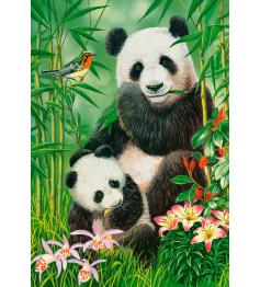 Puzzle Castorland Brunch des Pandas de 1000 Pcs