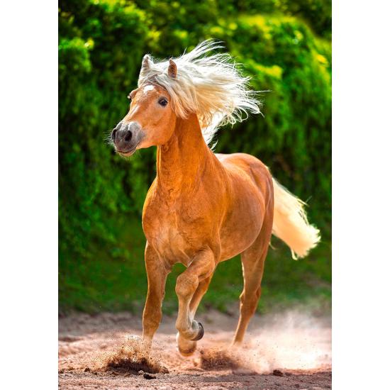 Castorland Haflinger Cheval de course Puzzle 500 pièces