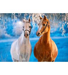 Castorland Winter Horses Puzzle 260 pièces
