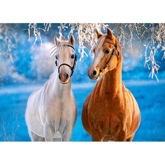 Castorland Winter Horses Puzzle 260 pièces
