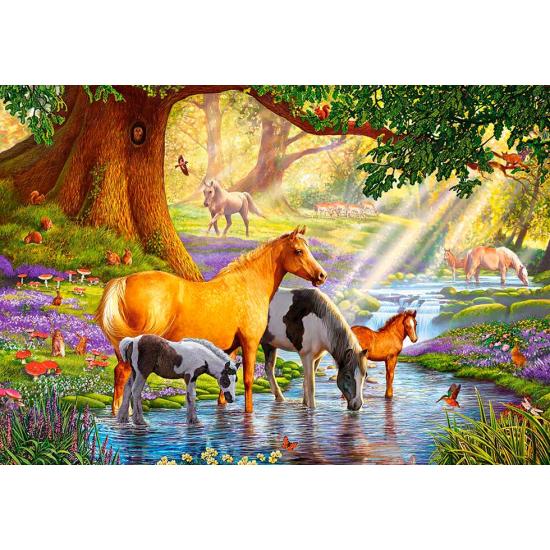 Puzzle Castorland Horses in the Stream 1000 pièces