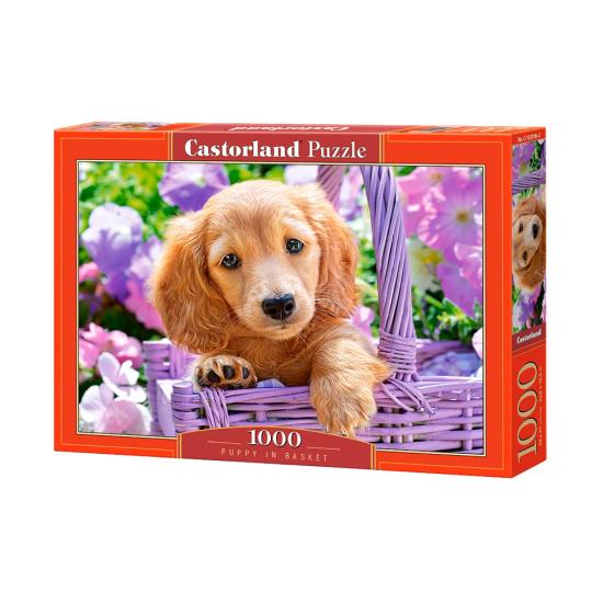 Puzzle Castorland Chiot dans son panier 1000 pièces