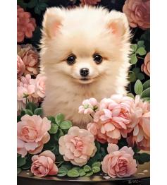 Puzzle Castorland Chiot de Poméranie dans les roses 300 pcs