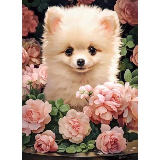 Puzzle Castorland Chiot de Poméranie dans les roses 300 pcs