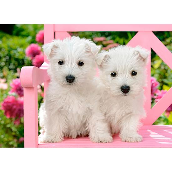 Puzzle Castorland Chiots Terrier Blanc 120 pièces
