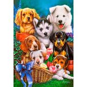 Puzzle Castorland Chiots 1000 pièces