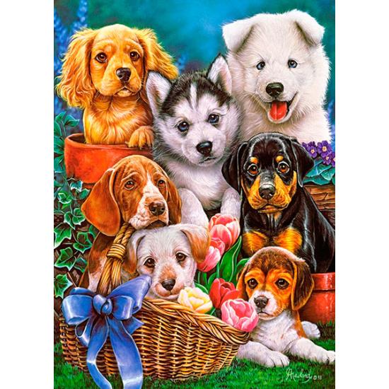 Puzzle Castorland Chiots 300 pièces