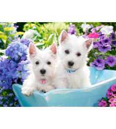 Castorland Westie Puppies Puzzle 200 pièces