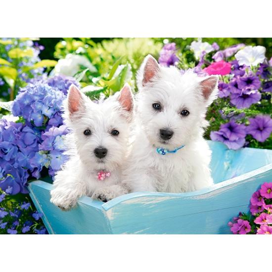 Castorland Westie Puppies Puzzle 200 pièces