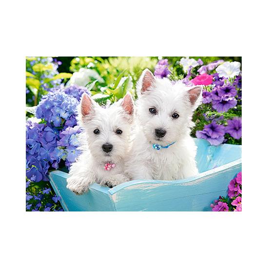 Castorland Westie Puppies Puzzle 60 pièces