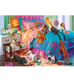 Castorland Naughty Puppies Puzzle 1000 pièces
