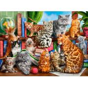 Castorland Cat House Puzzle 2000 pièces