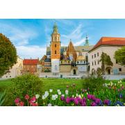 Castorland Puzzle Château de Wawel Cracovie, Pologne 500 Pz