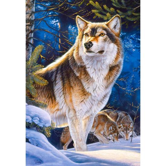 Castorland Sentinelle Puzzle 1000 pièces