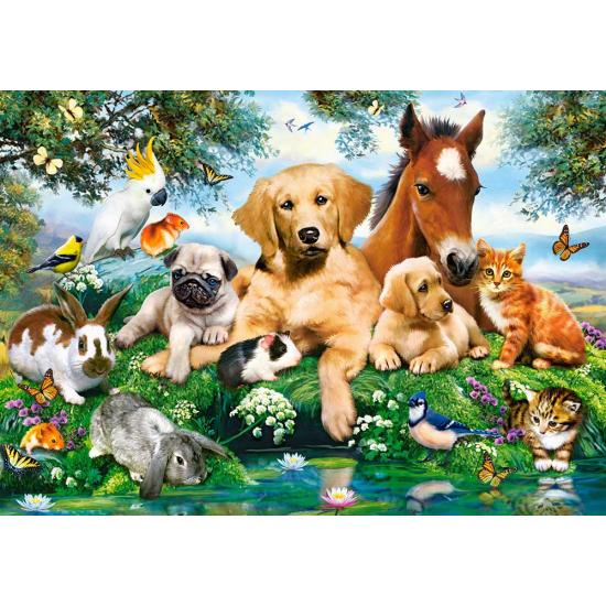 Castorland Summer Buddies Puzzle 500 pièces