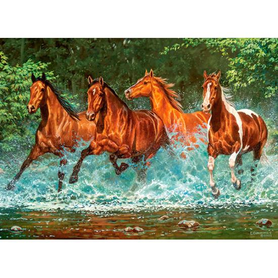 Castorland Courir dans la cascade Puzzle 300 pièces