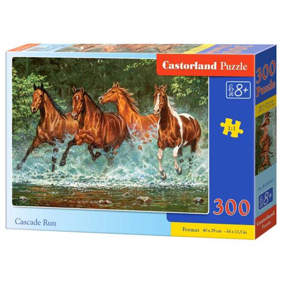 Castorland Courir dans la cascade Puzzle 300 pièces