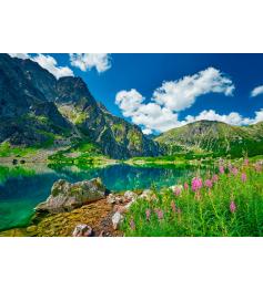 Puzzle Castorland Czarny Staw Pod Rysami, Tatras 500 pièces