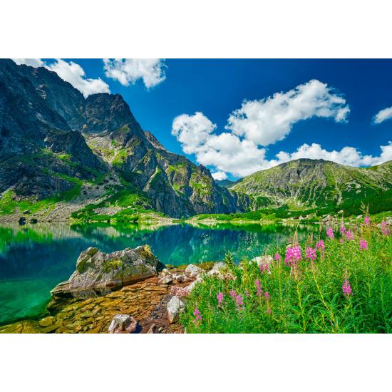 Puzzle Castorland Czarny Staw Pod Rysami, Tatras 500 pièces