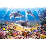 Puzzle Castorland Dauphins sous l'eau 500 pièces