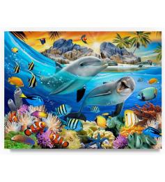 Puzzle Castorland Dauphins sous les tropiques 100 pièces