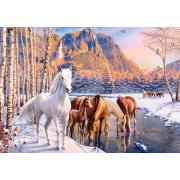 Castorland Winter Thaw Puzzle 500 pièces