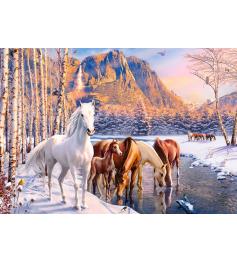 Castorland Winter Thaw Puzzle 500 pièces